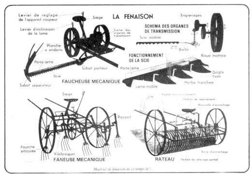 fenaison